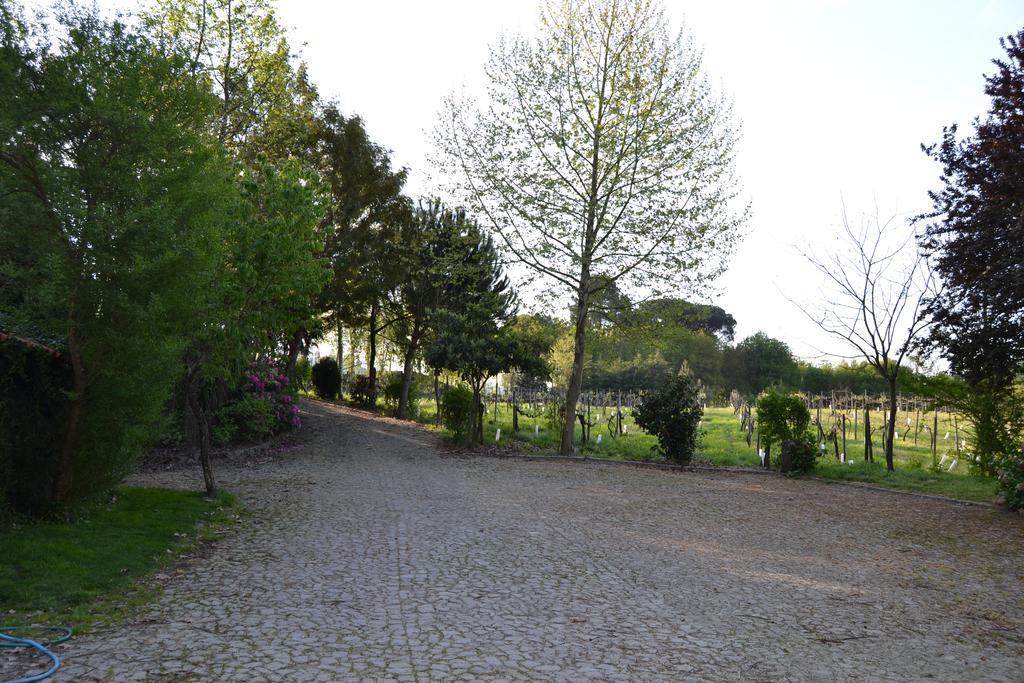 Quinta Do Mosteiro Felgueiras Esterno foto