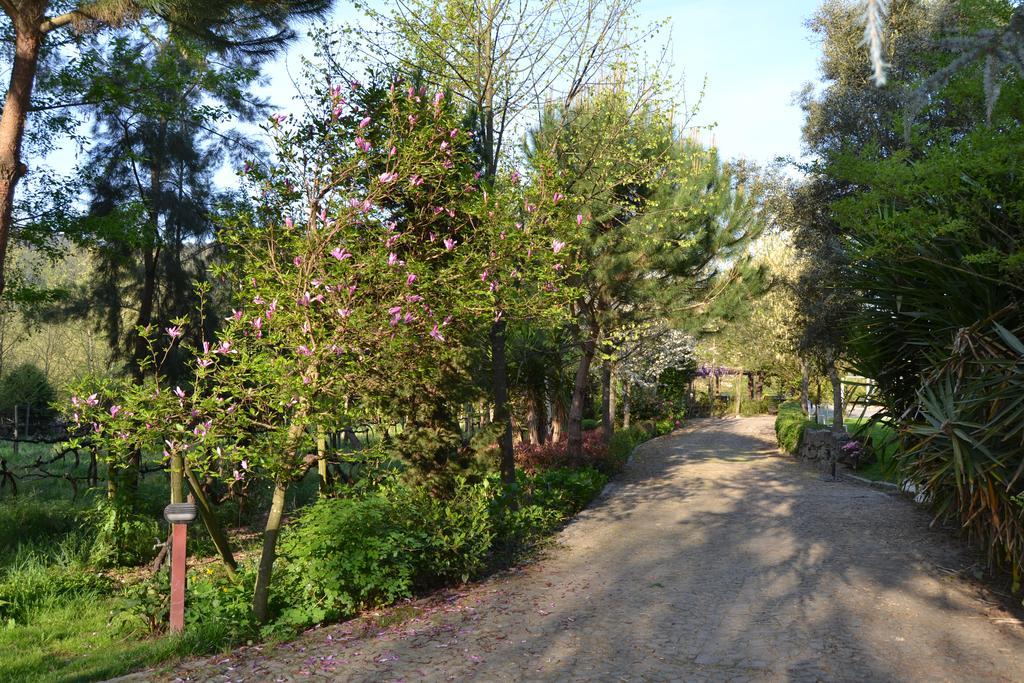 Quinta Do Mosteiro Felgueiras Esterno foto